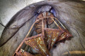 Dungeons under Vladivostok: secret path of Communist Party