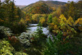 Sikhote-Alin State Nature Biosphere Reserve