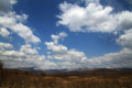 Sikhote-Alin State Nature Biosphere Reserve