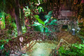 Primorsky Aquarium