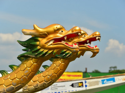 How to tame a “Dragon”?