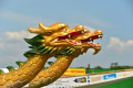 How to tame a “Dragon”? 