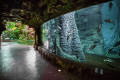 Primorsky Aquarium
