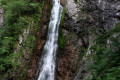 Sikhote-Alin State Nature Biosphere Reserve