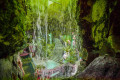Primorsky Aquarium