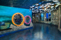 Primorsky Aquarium