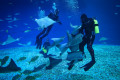 Primorsky Aquarium