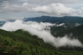 Sikhote-Alin State Nature Biosphere Reserve