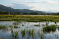 Khanka Lake - the largest lake in the Russian Far East