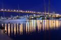 Night lights of Vladivostok 