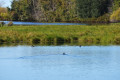 Khanka Lake - the largest lake in the Russian Far East