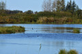 Khanka Lake - the largest lake in the Russian Far East
