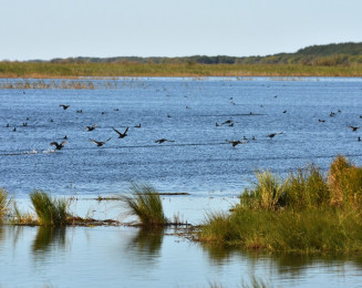 Khanka Lake - the largest lake in the Russian Far East