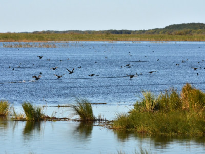 Khanka Lake - the largest lake in the Russian Far East