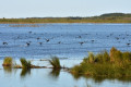 Khanka Lake - the largest lake in the Russian Far East
