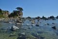 The Far Eastern Marine Reserve. Orlinka Bay