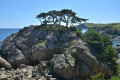 The Far Eastern Marine Reserve. Orlinka Bay