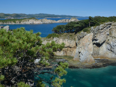The Far Eastern Marine Reserve. Orlinka Bay