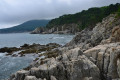 The Far Eastern Marine Reserve. Orlinka Bay