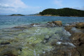 The Far Eastern Marine Reserve. Orlinka Bay