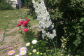 Russian Dacha Experience & countryside 