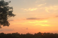 Russian Dacha Experience & countryside 