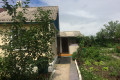 Russian Dacha Experience & countryside 