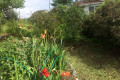 Russian Dacha Experience & countryside 