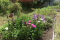 Russian Dacha Experience & countryside 