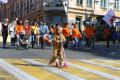 Tiger Day