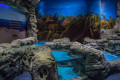 Primorsky Aquarium