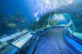 Primorsky Aquarium