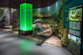 Primorsky Aquarium