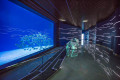 Primorsky Aquarium