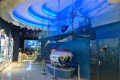 Primorsky Aquarium