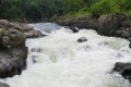 The Waterfall “Black Shaman”