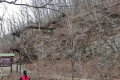 National Park “Land of Leopards”