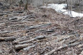 National Park “Land of Leopards”
