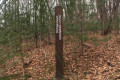 National Park “Land of Leopards”