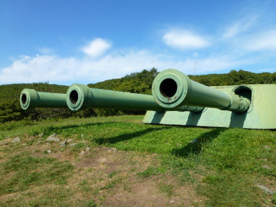 Russky Island + Voroshilov Battery (by car / bus)